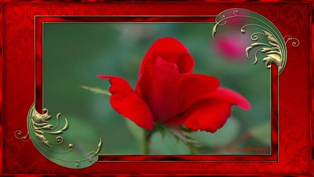 ❀ღ*Невероятната красота на цветята и музиката на Armik! ... ...*❖❀