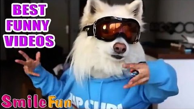 Best funny videos №24, #Смешныеприколы, Приколы ноябрь 2016, Best Coub, SmileFun