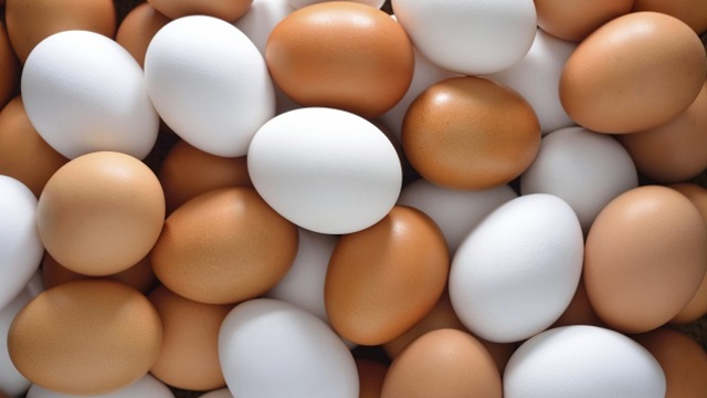 Опасни яйца! Яйца от Полша, заразени със салмонела се изтеглят от пазара в България