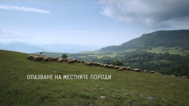 Опазване на местните породи - Българска Фондация Биоразнообразие и подкрепата на Българо-швейцарската програма за сътрудничествo