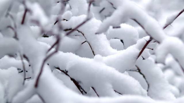 Затруднена пътна обстановка в страната заради снега