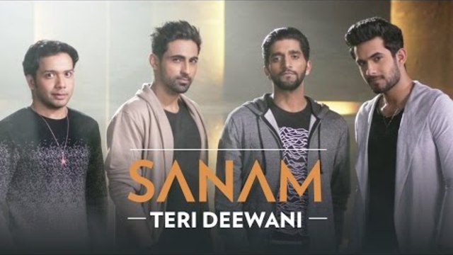 Sanam ft. Sandeep Thakur - Teri Deewani