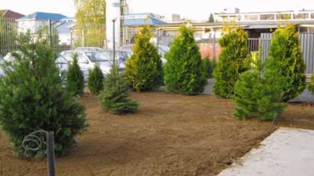 Озеленяване на складова база - в София