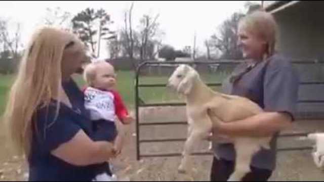 Един истински разговор между човешко дете и бебе коза