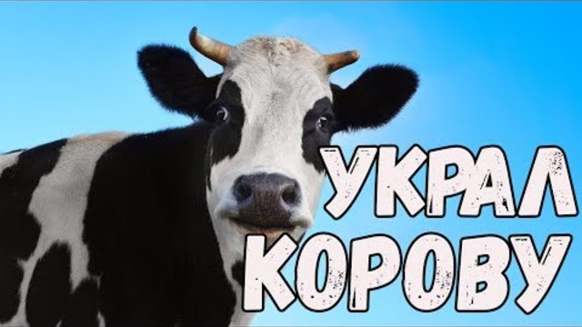 Приколы с животными 2017 Ну очень смешные животные Украл корову Новые видео приколы июль