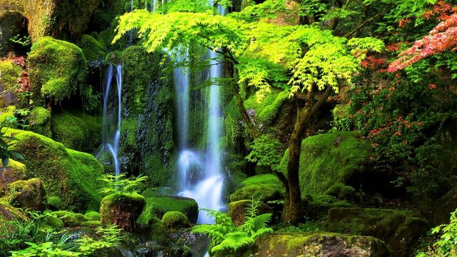 🕊Невероятни планински водопади! . 🌈. (Richard Abel music) ...🦅