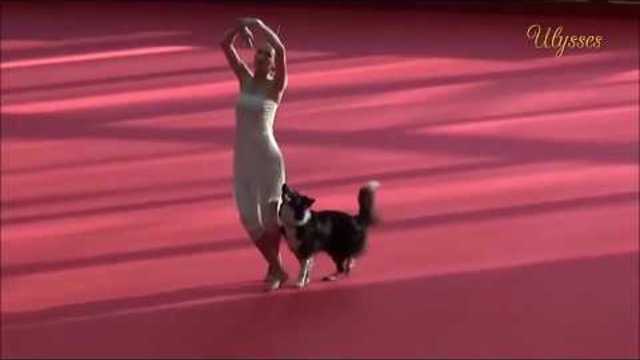 Super funny dancing dogs!