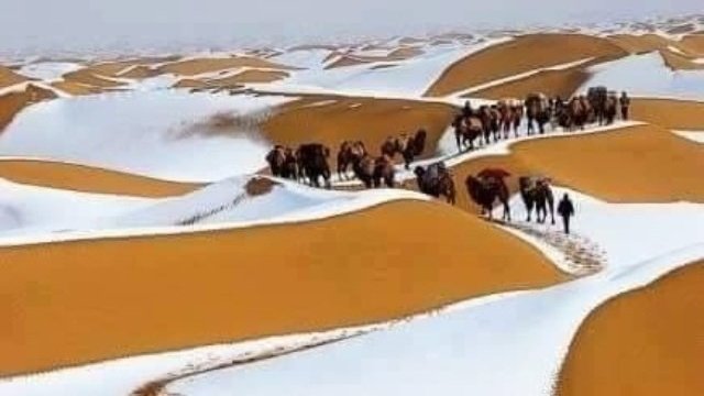 Вижте Сняг Натрупа в Сахара (Алжирската пустиня) - Ето това е невиждана красота