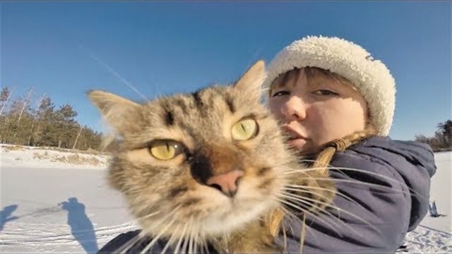 Прикольные видео с животными 2018 Милые и забавные собаки и кошки Крутая подборка про животных