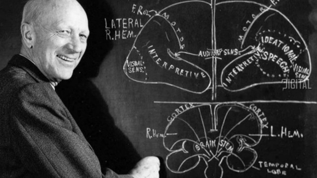 Бащата на "невропсихоанализата" Уайлдър Пенфийлд почитаме с Google Doodle - 127 години от рождението на Уайлдър Пенфийлд