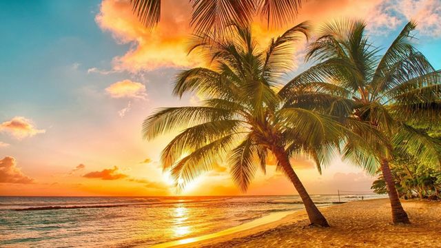 🏝 Тропически гледки! ... (Relaxing music  "Tropical Sunrise'  by Tim Janis) 🏝