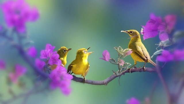 ♪°♪° А птиците пееха,пееха! ... (Alain Morisod * Sweet People) ♪°♪°