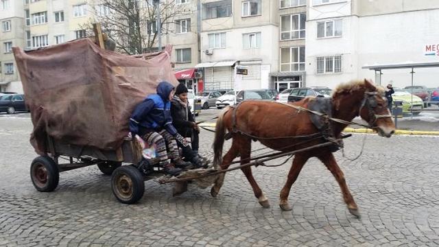 Инцидент с кон и каруца завърши с масов бой в София