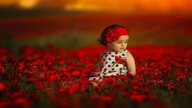 ✽✽✽  Красиви червени цветя ✽✽✽