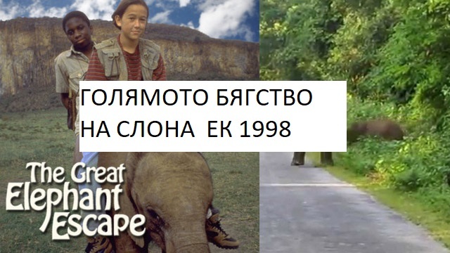 The Great Elephant Escape  1995 / ГОЛЯМОТО БЯГСТВО НА СЛОНА ЧАСТ 2