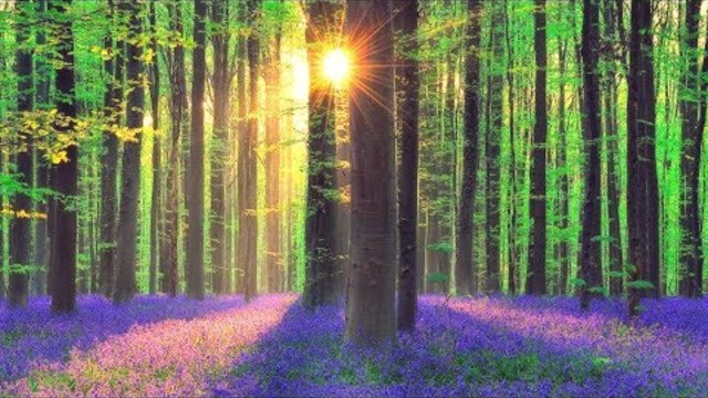Relaxing Music for Stress Relief. Calm Celtic Music for Meditation, Healing Therapy, Sleep, Yoga