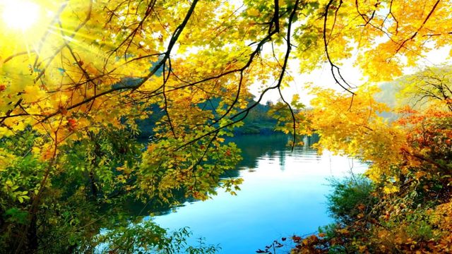 🍂  Златна есен на езерото  🍁