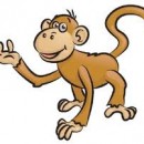 monkey_