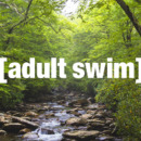 Adult.Swim