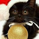 DANNYMUSICINFOBG_OFFICIAL