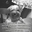 VilianaWidexSamsung1