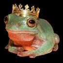 frogqueen_27