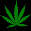 CannabisTOP420ENDTHEWOD