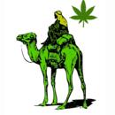 Kratom_Weed_420BG_SILKROAD