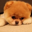 Tinkiwinky