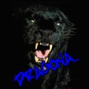 dragona_