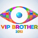 VIP BROTHER-BIG BROTHER ALL STARS™