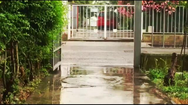 Николай  Берег   -   КАЛИТОЧКА