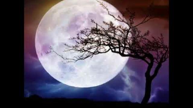 ЭТО НУЖНО СДЕЛАТЬ В ПОЛНОЛУНИЕ / ПЕРЕСЧИТАЙТЕ ДЕНЬГИ В КОШЕЛЬКЕ / ОБРЯД В ПОЛНОЛУНИЕ / НА ПРИБЫЛЬ /