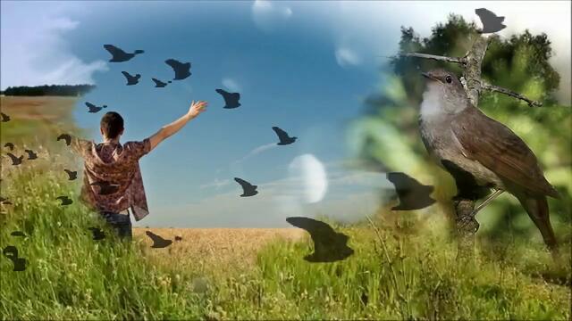 Дмитрий Королев    -     Ты одна такая.