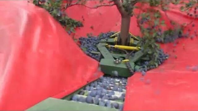 С Натура 2000 и без нови технологии няма оцеляване