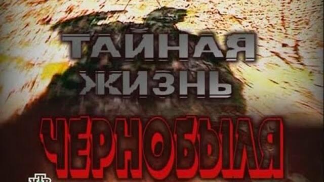 Тайная жизнь Чернобыля /  Тайният живот на Чернобил ( БГ субтитри)