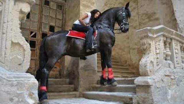 Хадес-Не ме моли