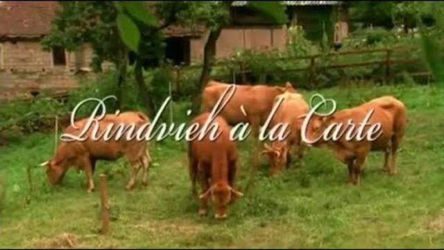 Меню с проблеми [2011] BG Audio