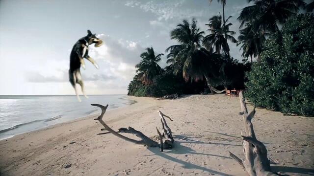 Dhani Harrison - Motorways (Erase It) (Official Video)