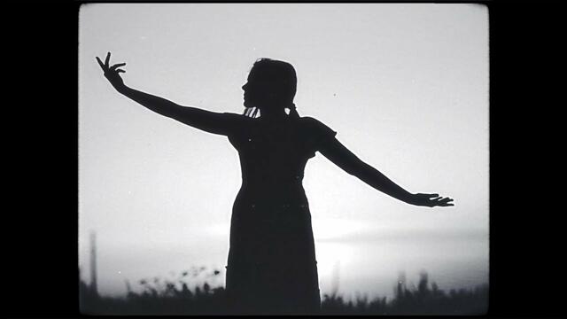 Tropic Gold - Human (OFFICIAL MUSIC VIDEO)