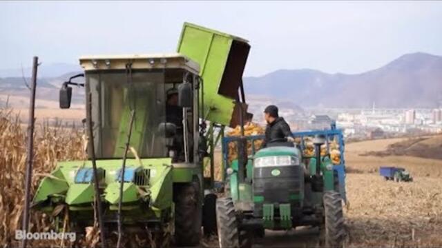 Китай - вече и износител на храни?!? Двама учени от Пекинския университет обясняват