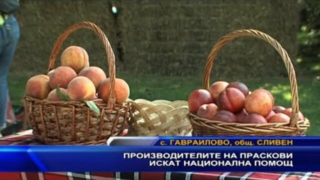 Производителите на праскови искат национална помощ