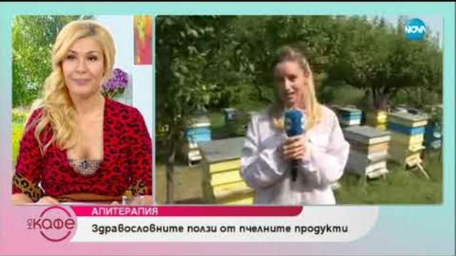 Апитерапия: Здравословните ползи от пчелните продукти - На кафе (23.07.2019)