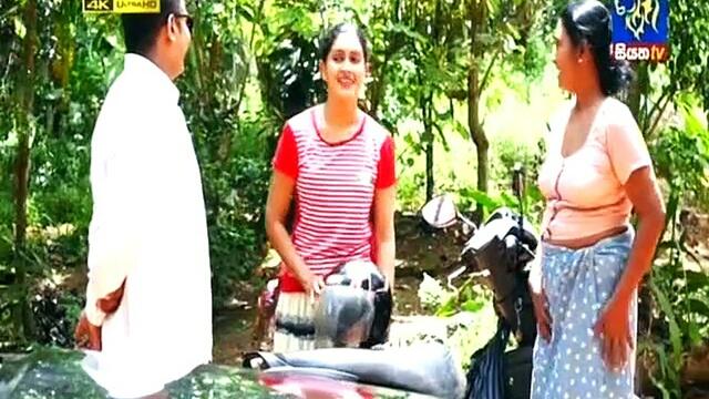 Poddi 25/07/2019 - 7