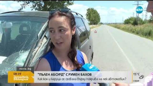 „ПЪЛЕН АБСУРД”: Как кон и каруца се озоваха върху покрива на кола (29.07.2019г.)