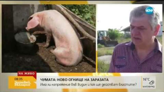 Чумата: Ново огнище на заразата - Здравей, България (30.07.2019г.)