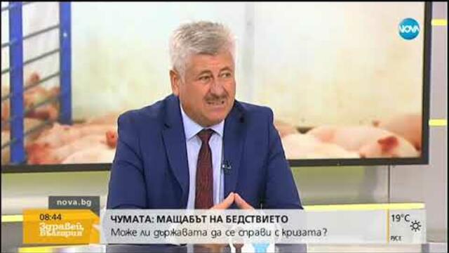 Може ли държавата да се справи с чумата - Здравей, България (30.07.2019г.)