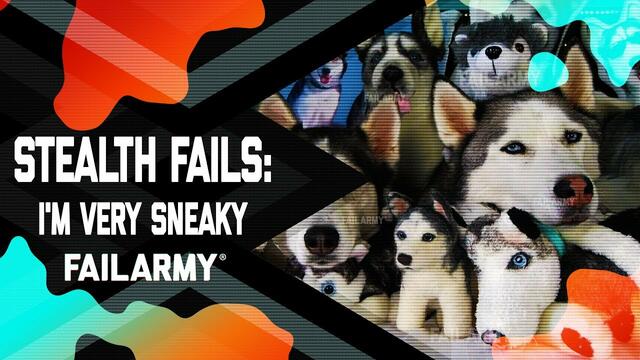 Stealth Fails: I'm Very Sneaky (July 2019) | FailArmy