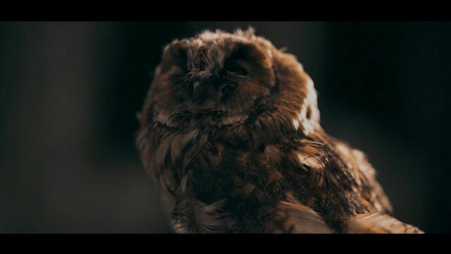 Massaka - Dolunay (OFFICIAL VIDEO)  Prod.by Deadeye