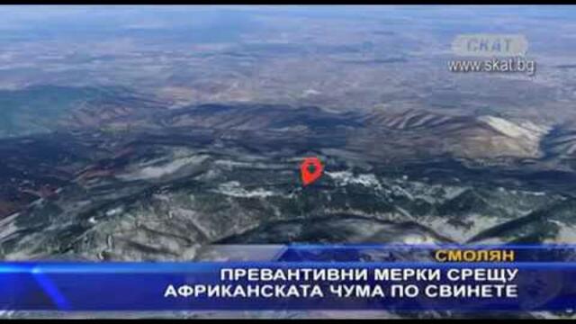 Сериозни мерки заради чумата по свинете